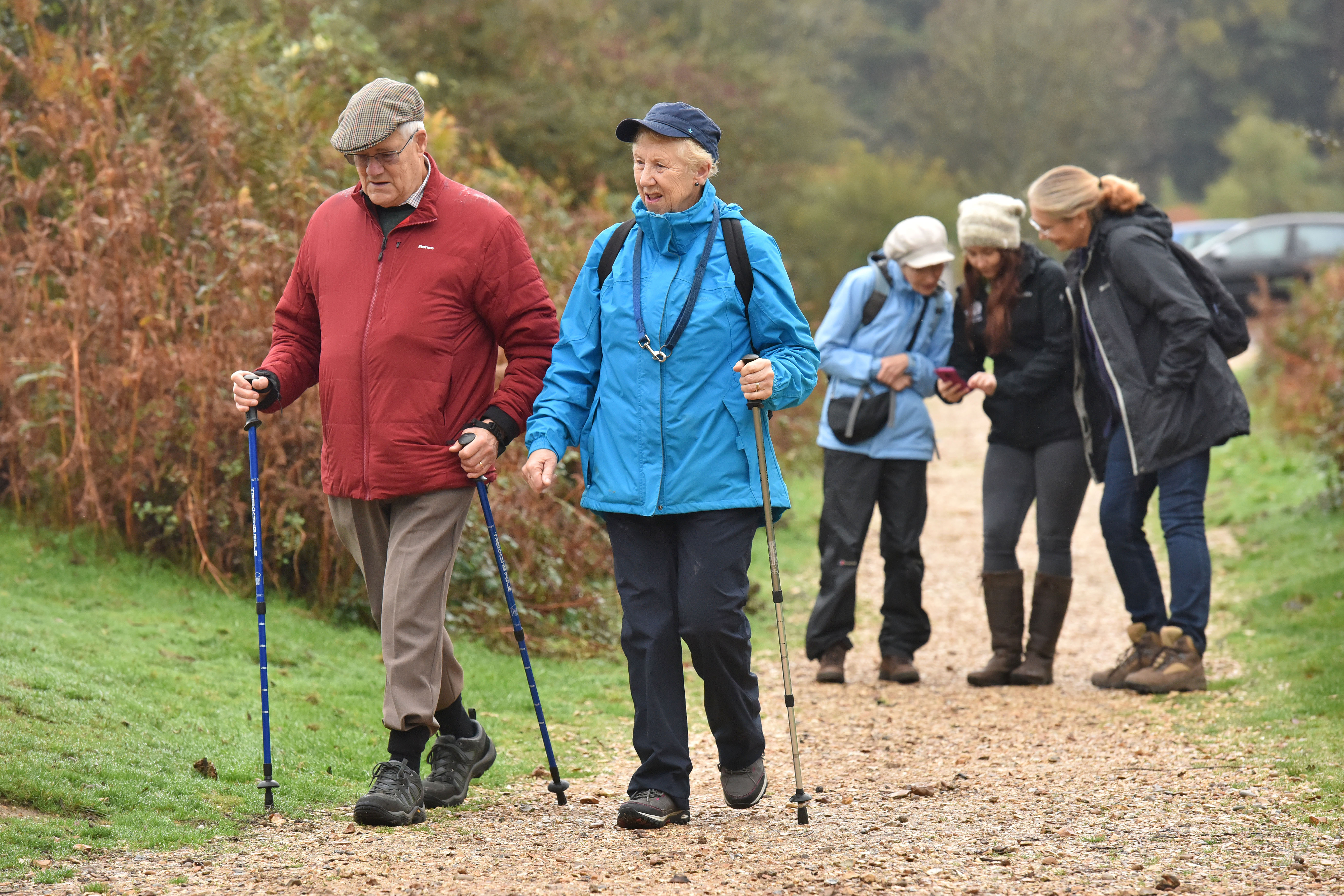 New Forest Walk Old Railway Wander