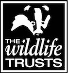 hampshire wildlife trust